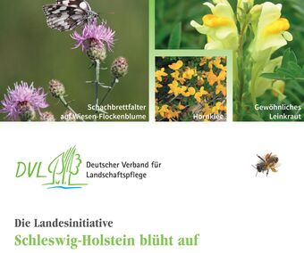 EDUR and the bees