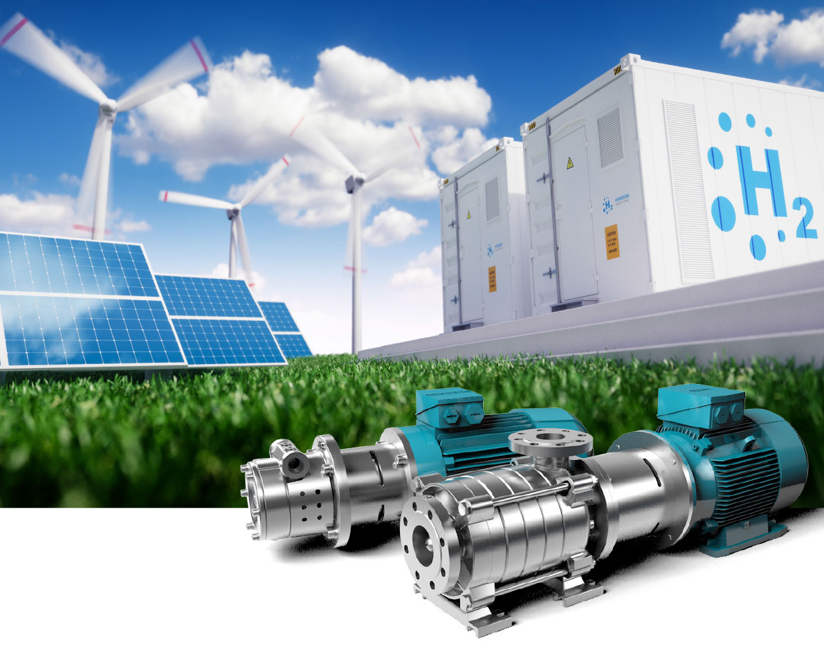 EDUR-Pumps for Innovative Hydrogen Technologies according to the National Hydrogen Strategy